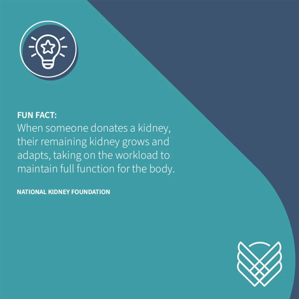 Living Donor Fact